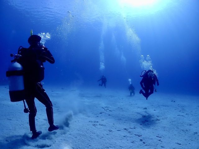 ダイビングショップのお店も近くにいくつかあります！！！
是非、満喫した日々に♪♪