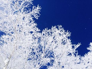 ＼高時給×グルメの宝庫十勝エリア／経験あるシニアの方大歓迎☆お力を貸してください！