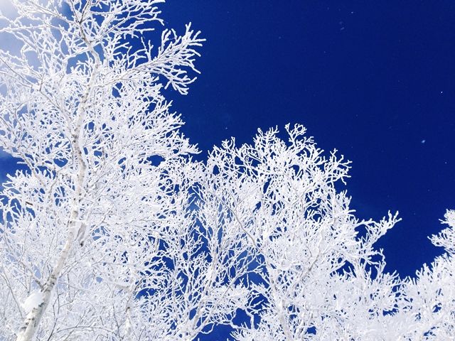 短期就業可能です！経験あるシニアの皆様も大歓迎です(^^)/