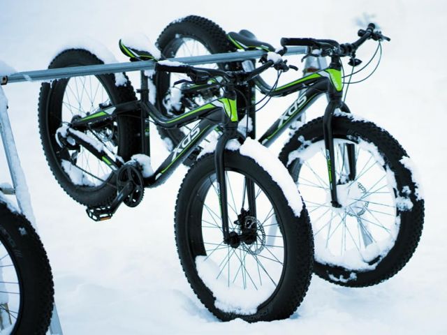 様々なアクティビティに携わっていただきます