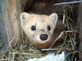 知床で迎える年末年始はいかがでしょうか☆