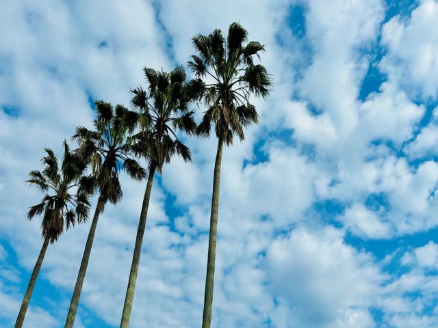 満了率の高い職場！延長をされる方もいて職場の雰囲気も良いです。