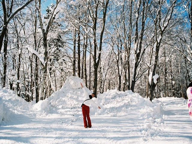 冬のニセコは世界的にも有名です☆