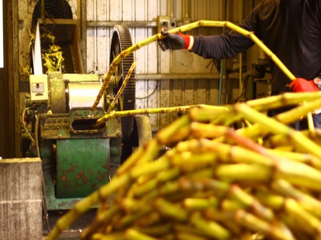 製糖工場は部署ごとに分かれているので作業はすぐに覚えられると思います♪