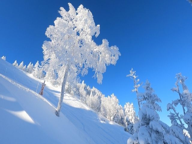 綺麗な雪景色に囲まれながらお仕事が出来ます！