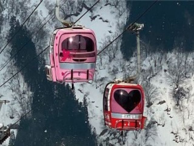 1月の土日祝からはナイターも始まります！
もちろん空いているタイミングは滑れます！