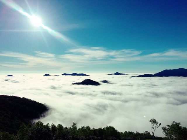 天候などの条件が整い、運が良ければ雲海も見られます！