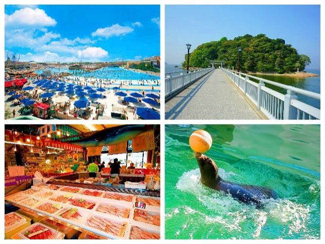 竹島・海も目の前です！
景色最高ですね♪