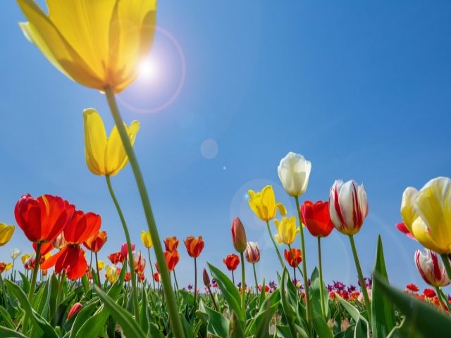 ご応募はお早めに！