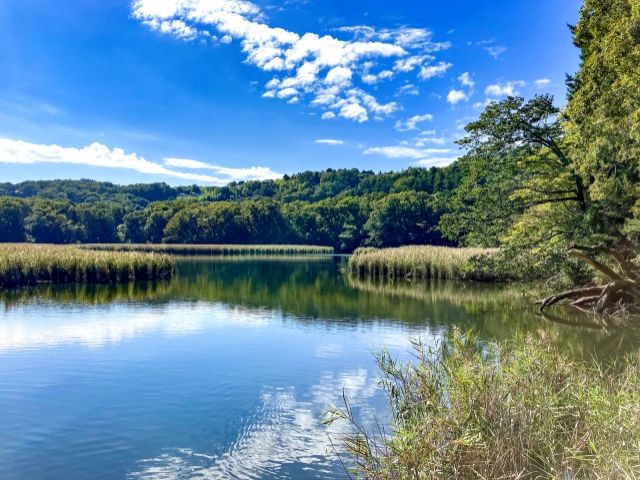 ◇伊豆の雄一無二の湖　｢一碧湖」