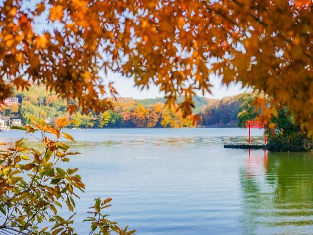 ◇秋は紅葉も見頃です！