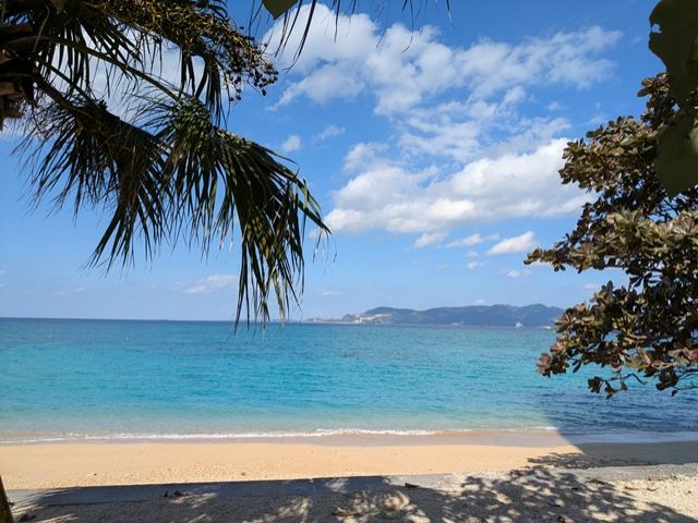 本島北部、南部へのアクセス可能！人気の北谷エリアへも近いです♪