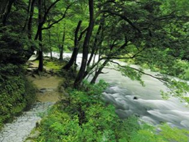 ☆黒谷橋～あやとりはし～こおろぎ橋までの1.3kmにわたる自然遊歩道☆