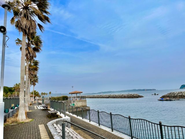 海沿いのホテルなので景色はバッチリです♪