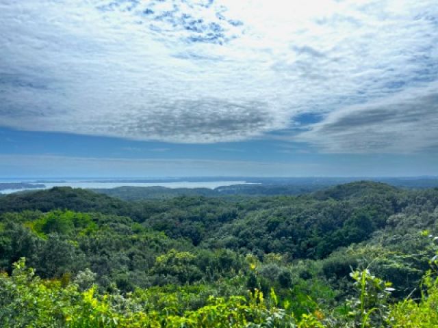 自然が多いエリアなので静かなところです♪