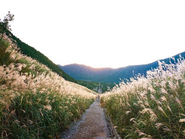 自然いっぱいの仙石原！