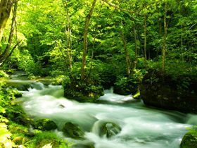 渓流沿いの散策でリフレッシュ☆
友人同士での応募も可能！！