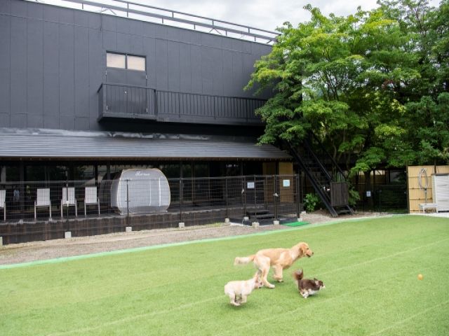 ●ワンちゃんと泊まれる旅館のお仕事