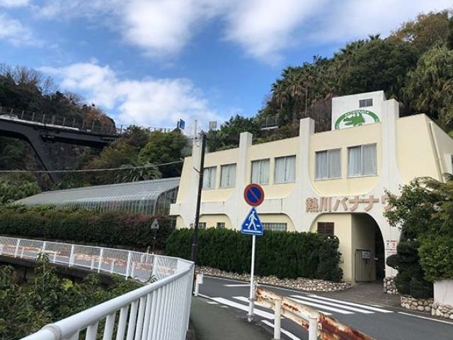 レッサーパンダもいます！仕事しながら癒されますね～