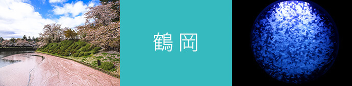 鶴岡のリゾートバイト・エリア情報