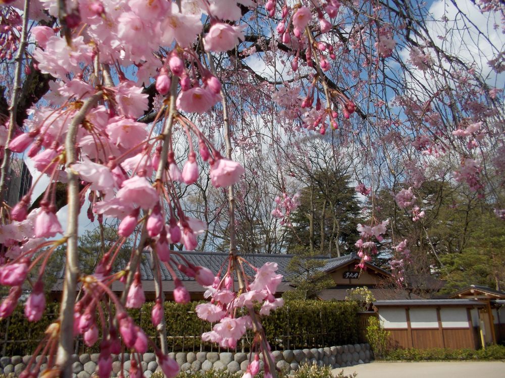 春のリゾートバイト