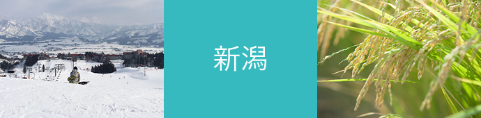 新潟県のリゾートバイト・エリア情報