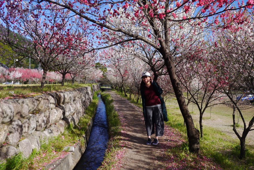 春のリゾートバイトの休日