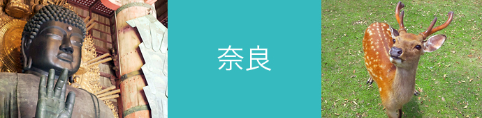 奈良県のリゾートバイト・エリア情報
