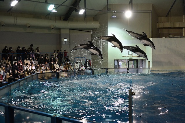 登別マリンパークニクス