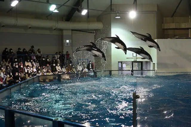 登別マリンパークニクス