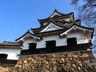 blog_img
