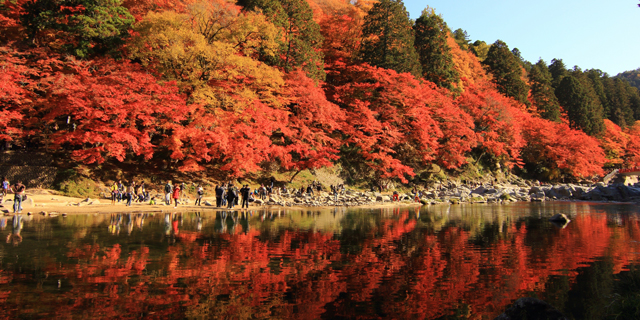 香嵐渓の紅葉