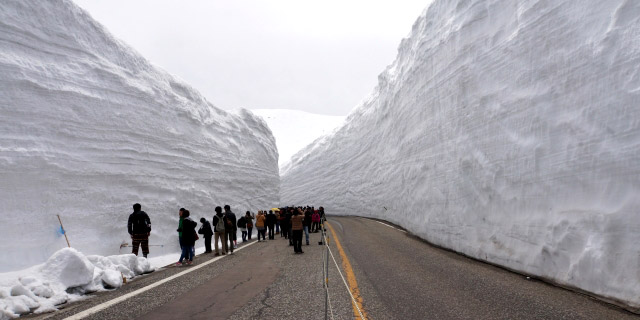 雪の大谷