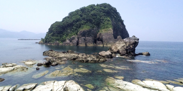 かえる島