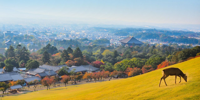 若草山