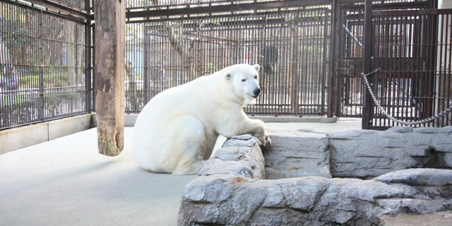 愛媛県立とべ動物園