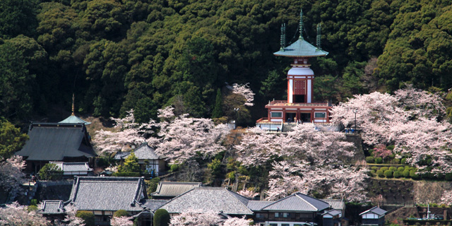 薬王寺