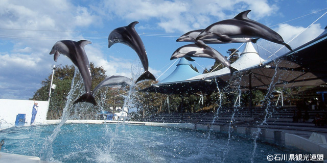 のとじま水族館