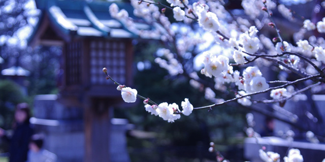 白山神社