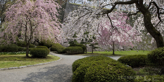 盛岡城跡公園