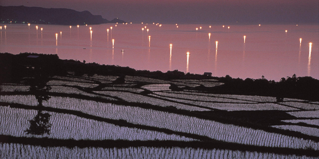 東後畑の棚田