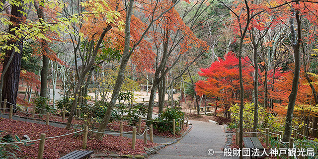 瑞宝寺公園