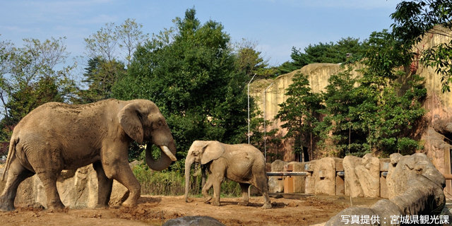 仙台市八木山動物公園