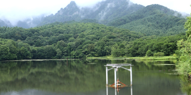 戸隠神社