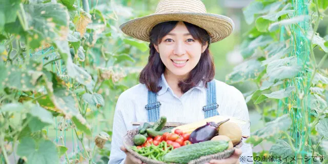 農作業体験
