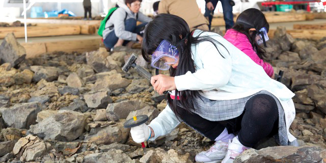 恐竜化石の発掘体験