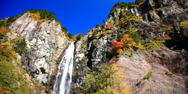 白山白川郷ホワイトロード