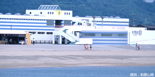 片男波海水浴場（和歌山市）