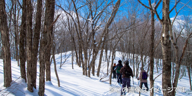 来拝山