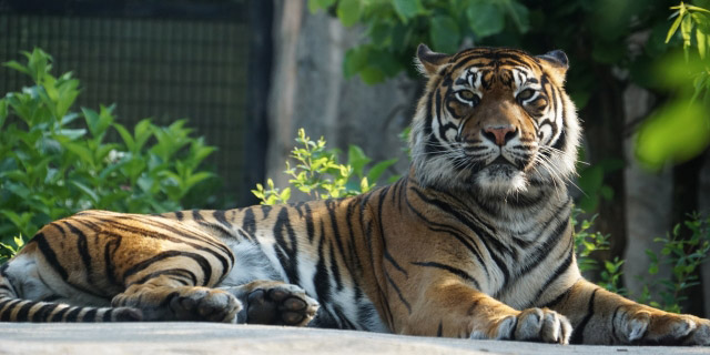 仙台市八木山動物園